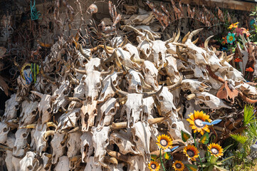 Animal skulls being sold at a Latin American outdoor street market