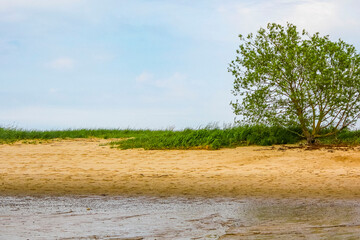 Wadden sea tidelands coast beach water landscape Harrier Sand Germany.