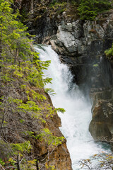 Myra Falls, Strathcona Provincial Park, Vancouver Island, British Columbia, Canada - 516670712