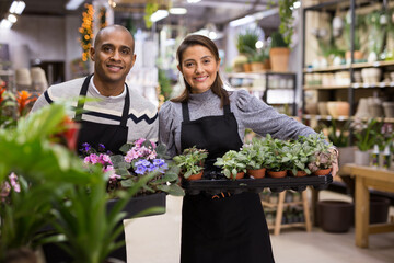 Fototapeta premium Portrait of flower shop employees with pots of flowers in their hands