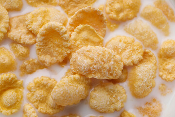 Tasty cornflakes with milk as background, closeup