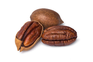 Pecan nut isolated on white background.