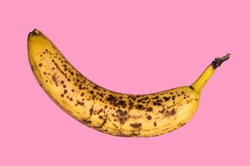 Rotten banana isolated on pink background. Expired fruit.