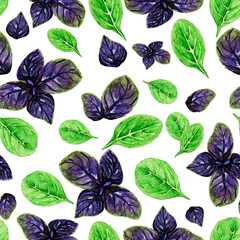 Watercolor pattern fresh product farm seasoning basil green and purple, on white background ingredient for your design seamless, hand drawn illustration for menu and restaurant