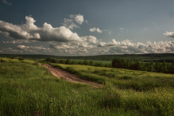 Dirt road among fields and steppes on a sunny summer day.
