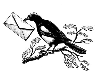 Magpie bird with letter. Ink black and white drawing