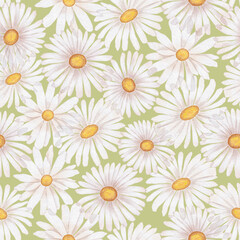 Large chamomile flowers. Vintage seamless pattern in a watercolor style. Pastel colors.