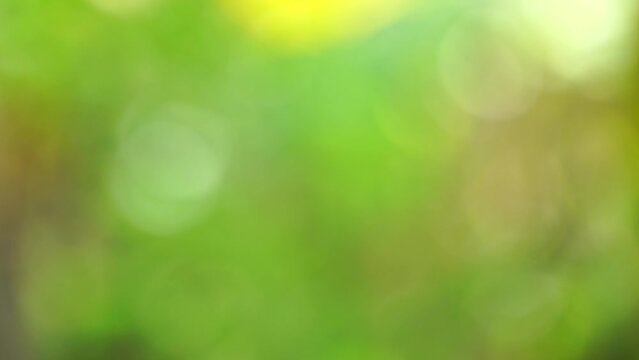4K High quality video Green bokeh full frame as abstract motion blur background. Nature video background concept