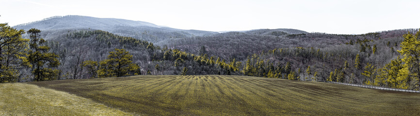 Fototapeta na wymiar panorama of an old civil war battle field