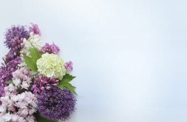 Spring lilac flowers on a white background. Background for a greeting card.