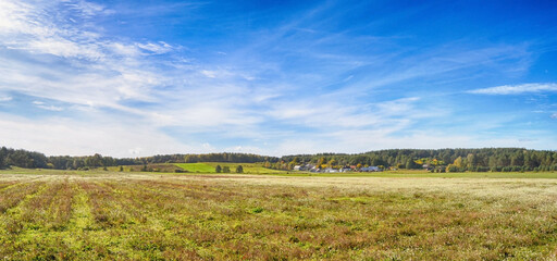 Obraz premium field of grass and perfect sky