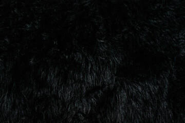 abstract black feather background texture