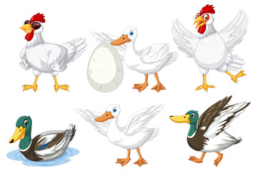 Set of different chickens cartoon character