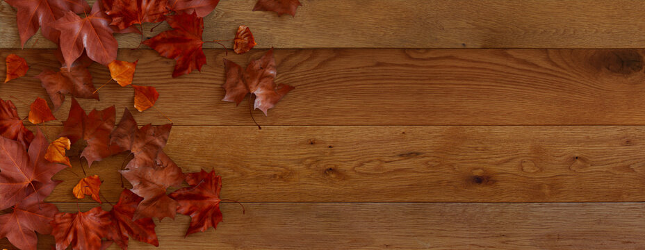 Top down view of Natural wood Surface with leaves.