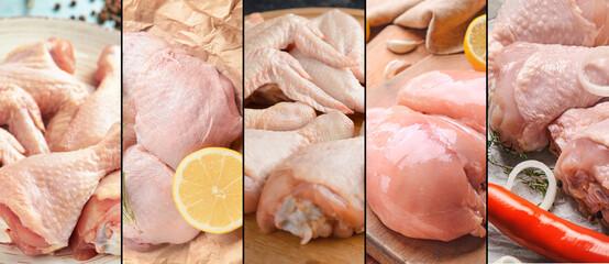 Set of fresh chicken meat, closeup