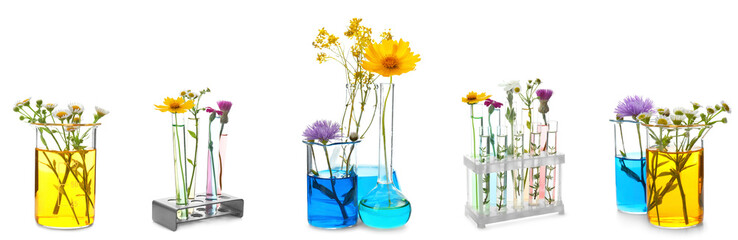 Set of laboratory glassware with flowers on white background