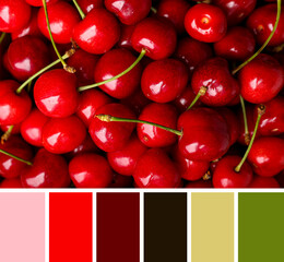 Many sweet cherries as background. Different color patterns