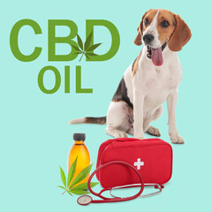 Banner with cute Beagle dog, stethoscope, first aid kit and bottle of CBD oil on blue background