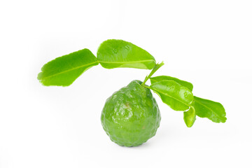 Fototapeta premium Bergamot fruit on white background. Green bergamot cut in half. Fresh bergamot fruits. Clipping path. Copy space. Image of fresh fruits.