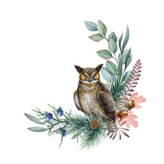 Owl with natural floral decor. Watercolor illustration. Hand drawn beautiful realistic owl with tree leaves, pine branches, fern, forest herbs floral decoration. White background