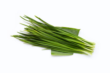 Fresh Chinese Chive leaves on white background.