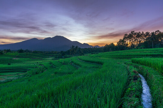 Indonesia's extraordinary natural scenery. morning view with sunrise in the rice fields. rice field flow
