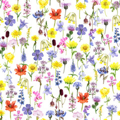 watercolor drawing seamless pattern with wild flowers at white background , hand drawn botanical illustration, natural background