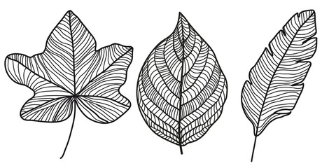Leaves Set in Line Art Style. Leaves Silhouette Black Sketch on White Background. Leaf Line Art Botanical Illustrations. Floral Minimal Vector Illustration for Wall Decor, Print, Poster, Social Media.
