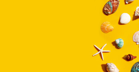 Composition of starfish and exotic sea shells on yellow background.
