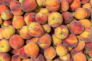 fresh organic peaches harvested and display for sale