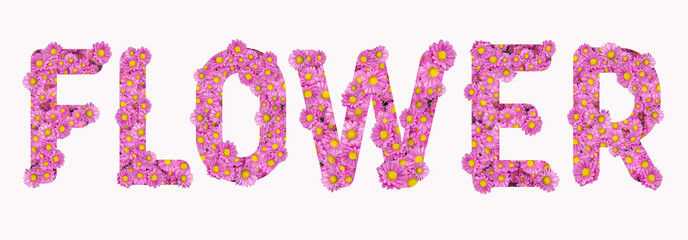 FLOWER word with pink flowers

