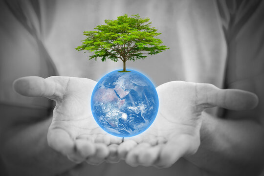 People hand with blue earth and green tree for together help saving environment for living life.Elements of this image furnished by NASA.