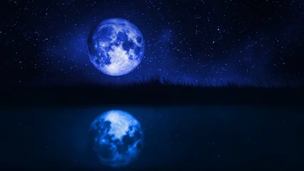 Photo sur Plexiglas Pleine Lune arbre full moon and grassland and at nightscape