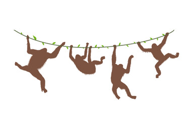 Four Monkeys Orangutan Hanging on The Vines of Tree Branch Flat Vector Silhouette Illustration