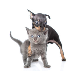 Playful Toy terrier puppy hugs tiny kitten. Pet stand together in front view and looks at camera.  isolated on white background