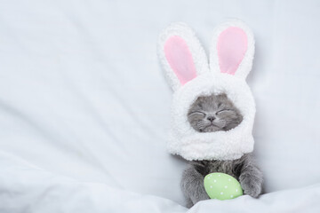 Funny kitten wearing easter rabbits ears sleeps with painted egg on a bed under warm white blanket at home. Top down view. Empty space for text
