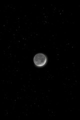 crescent moon with a dark side and stars around it