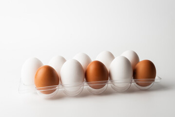 chicken eggs  on a white background 