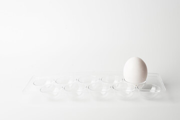 chicken eggs  on a white background 