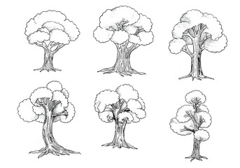 Hand draw trees set sketch illustration design