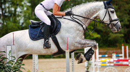 Horse jumping horse with rider in flight over an obstacle..