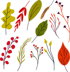Autumn botanical set. Vector hand-drawn autumn plants, leaves, branches. Design elements for autumn greeting cards, gift paper.