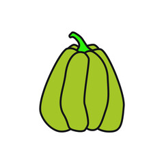 Green pumpkin vector illustration. Autumn halloween pumpkin, vegetable graphic icon.	