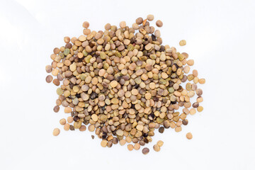 The guar or cluster bean, with the botanical name Cyamopsis tetragonoloba seeds isolated on white background