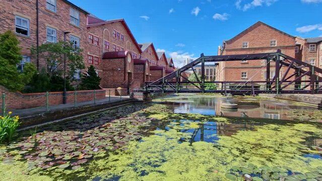 Pond with Water lilies in a residential area in a British city
