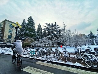 bikes in the snow
