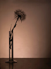 Beige dry grass branches in a vase standing on a white wall with copy space. Minimalistic stylish concept.