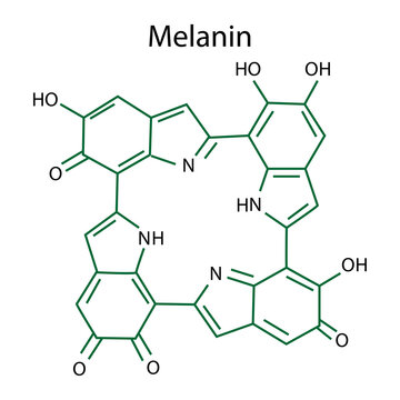 Black melanin formula. Vector illustration. Stock image. 