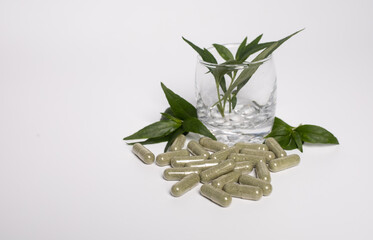 Andrographis Paniculata ,Green chiretta herbal medicine in capsule and fresh leaves in the glass on white background