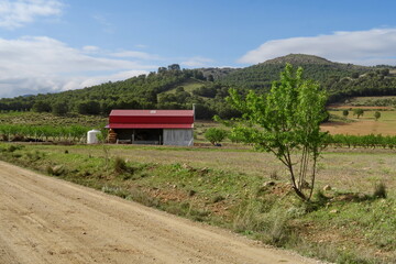 Ferme dans la campagne andalouse.